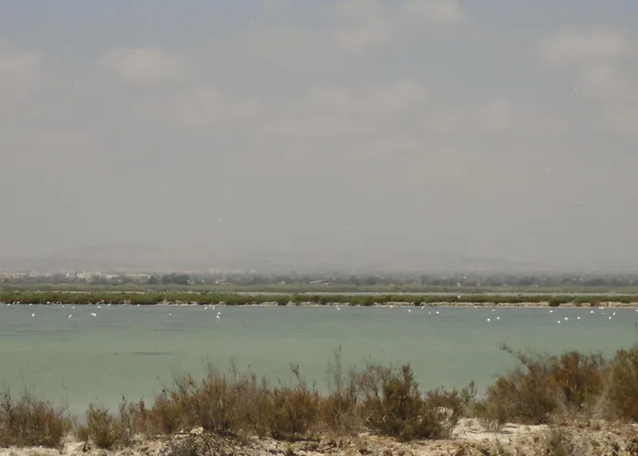 Mit Dachterrasse Und Balkon Gemeinschaftspool- In Der Naehe Von By Interhome